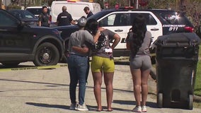 Houston man killed in hit-and-run crash