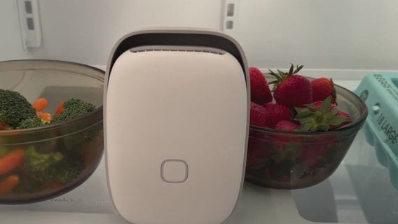 Does it work? Shelfy promises to help produce stay fresh twice as long