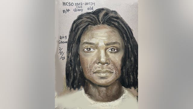 Harris County: Police sketch released of suspect wanted in child's aggravated kidnapping and assault