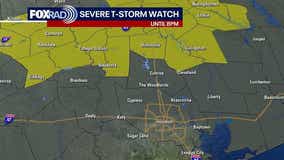 Severe Thunderstorm Watch issued for northern Houston-area counties