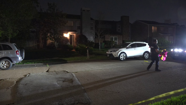 Houston shooting: Man killed at home on Ludington Drive