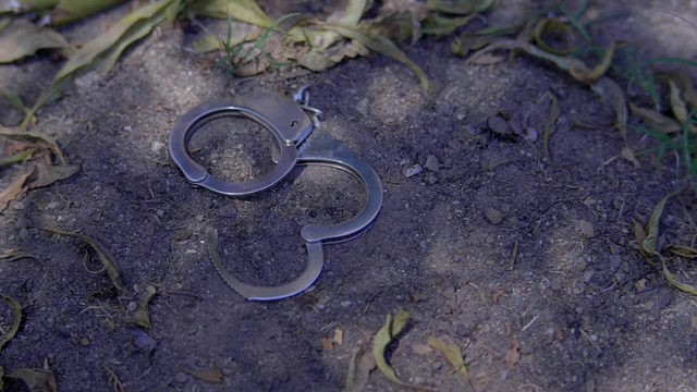 Texas Governor, Houston Mayor agree state constitution need to change to hold felony court judges accountable