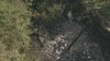 Houston plane crash: Small plane crashes into tree
