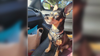 Father of 3 offering cash reward, prized possessions for the safe return of beloved dog last seen in Galveston