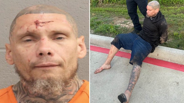 K9, drone used to help arrest Spring copper theft suspect