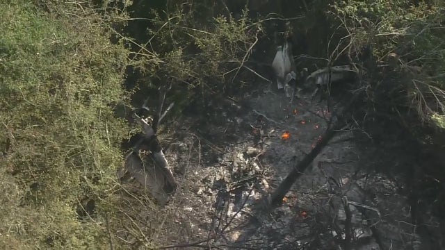 Houston plane crash: Small plane crashes into tree