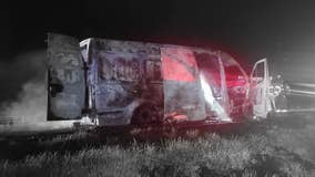 Seven Cypress rescue dogs killed in car fire while en route to New York