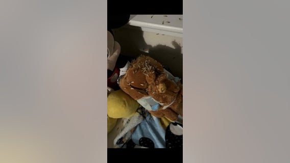 Pasadena tenant battles termite infestation at Southmore Park Apartments