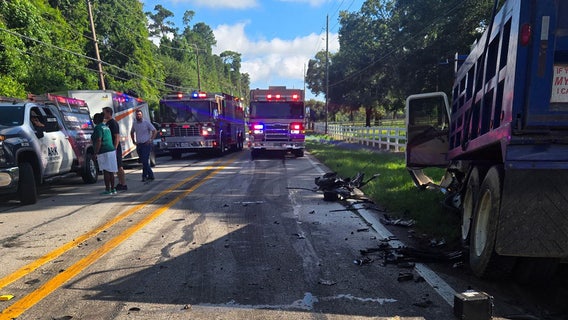 Magnolia man accused of murdering stepfather with machete before deadly head-on crash