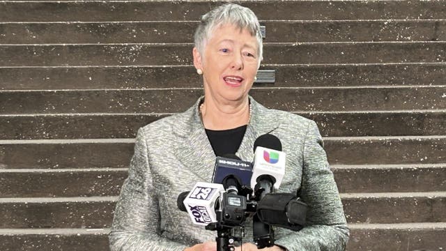 Former Houston mayor Annise Parker running for Harris County judge