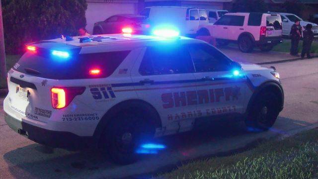 Harris County: Man accused of striking his mother on Holly Way, authorities investigating