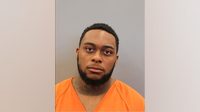 Houston man charged with older brother's murder