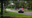Elderly couple killed in Kingwood crash