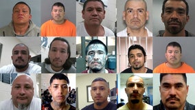 ICE Houston arrests more than 350 gang members in past 6 months