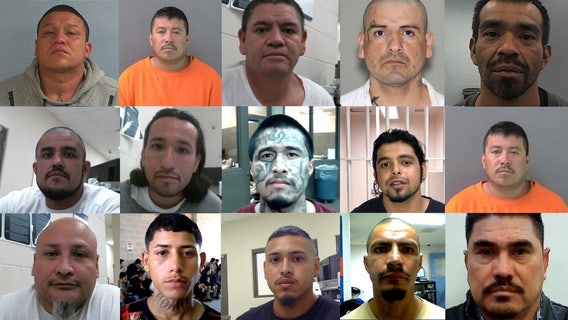 ICE Houston arrests more than 350 gang members in past 6 months