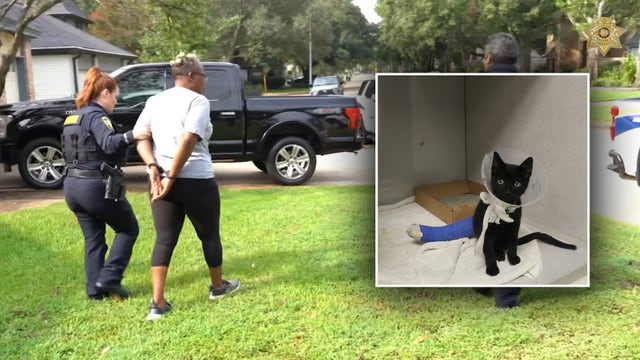 Harris County animal cruelty suspect arrested, allegedly ran over kitten