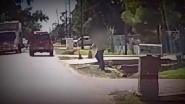 Animal advocates question why animal cruelty charges weren't filed against man seen kicking puppy on camera