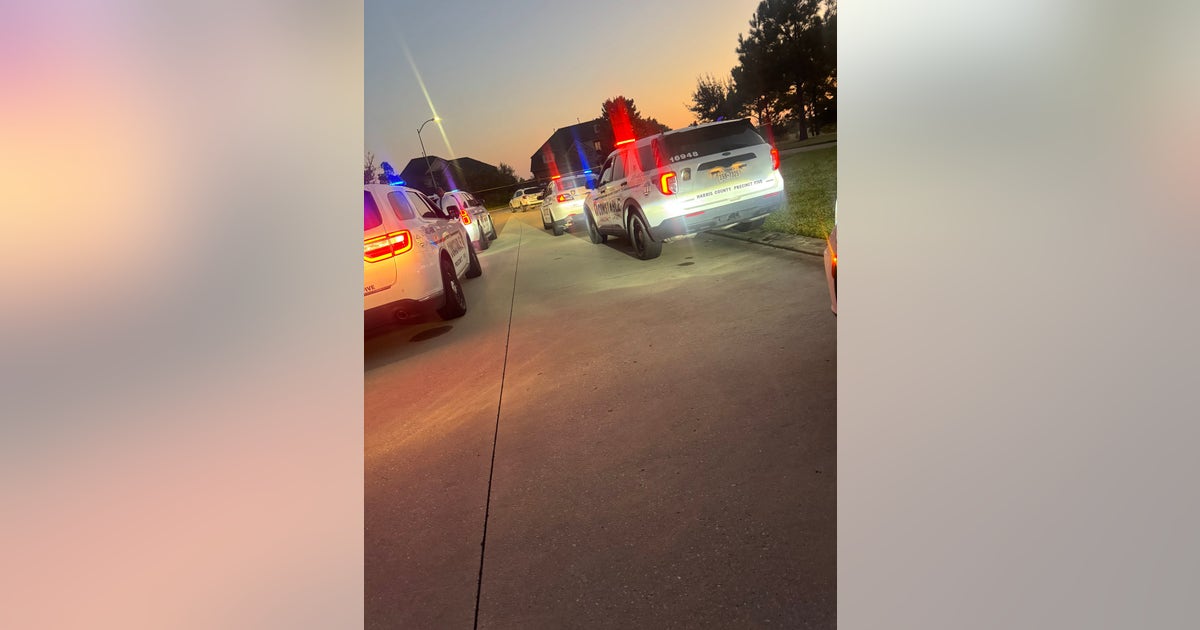 1 dead, 2 injured after large fight breaks out in west Harris County ...