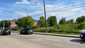 Skeletal remains found in Houston's Alief area, police say