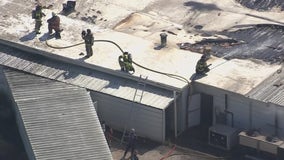 Egg farm fire in Wharton County reported; multiple fire departments on scene