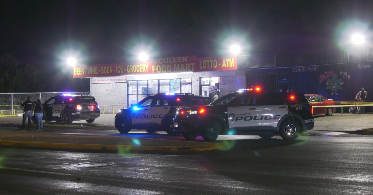 Two women killed after being hit by car during street fight: Houston ...
