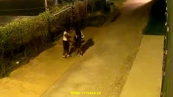 Aggravated robbery suspects rob man at gunpoint in alleyway: video