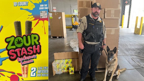 'Zour Stash': Austin County taskforce seized 6,500 pounds of illegal narcotics