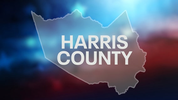 Harris County sample ballot for Nov. 4, 2025 Texas election