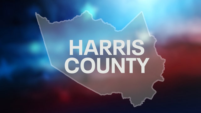 Harris County sample ballot for Nov. 4, 2025 Texas election