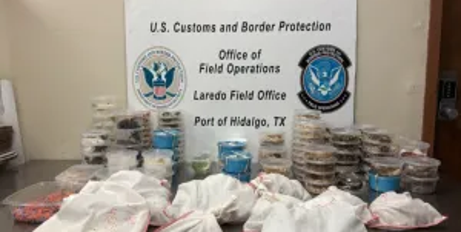 Texas border agents seize truck stuffed with snakes and lizards headed to Mexico