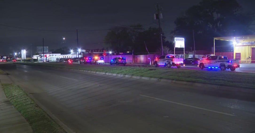 At least 70 live, dead roosters found at alleged fighting ring in north Houston, officials say