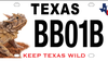 Texas Parks and Wildlife releases redesigned Texas horned lizard conservation license plate