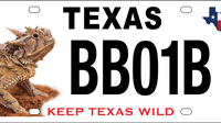 Texas Parks and Wildlife releases redesigned Texas horned lizard conservation license plate