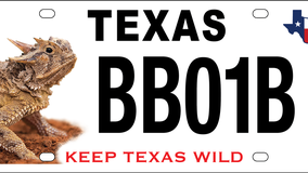 Texas Parks and Wildlife releases redesigned Texas horned lizard conservation license plate