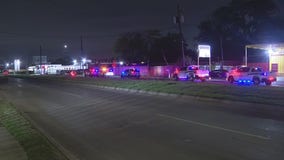 At least 70 live, dead roosters found at alleged fighting ring in north Houston, officials say