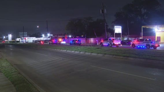 At least 70 live, dead roosters found at alleged fighting ring in north Houston, officials say