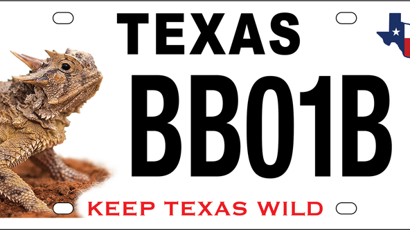 Texas Parks and Wildlife releases redesigned Texas horned lizard conservation license plate