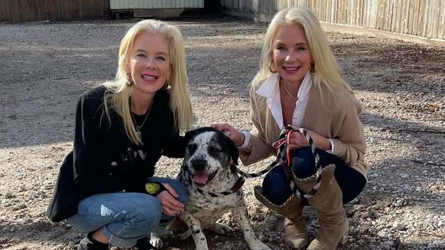 PetSet founders help rescue hundreds of thousands of homeless pets