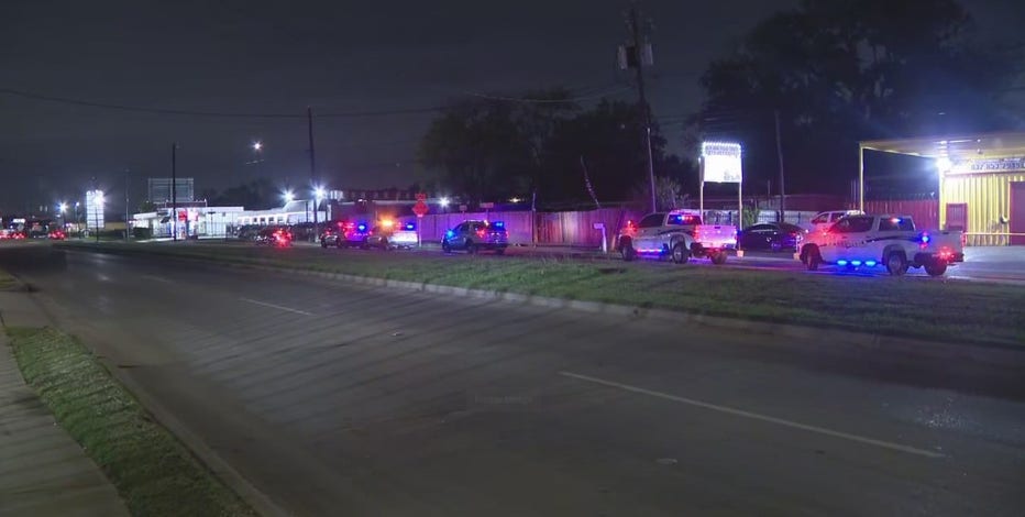 At least 70 live, dead roosters found at alleged fighting ring in north Houston, officials say