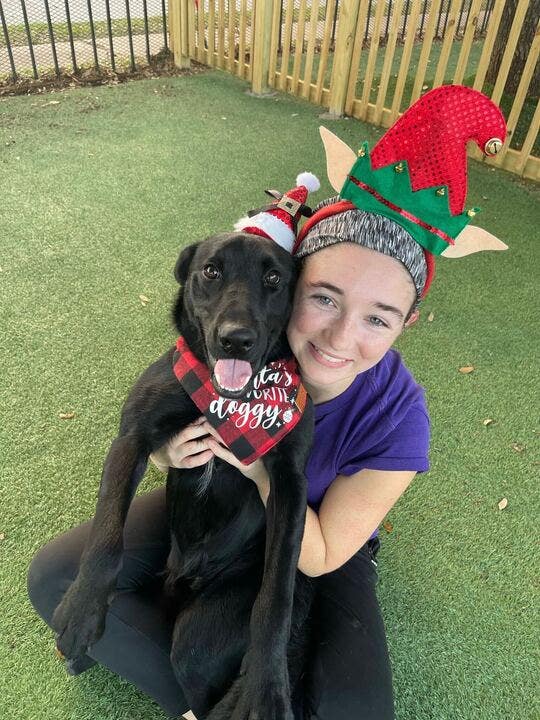 Pasadena-area woman takes action to save dogs from euthanasia