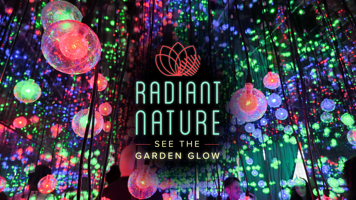KRIV “HOUSTON BOTANIC GARDEN RADIANT NATURE" GIVEAWAY RULES — Dec 15 - 19, 2025