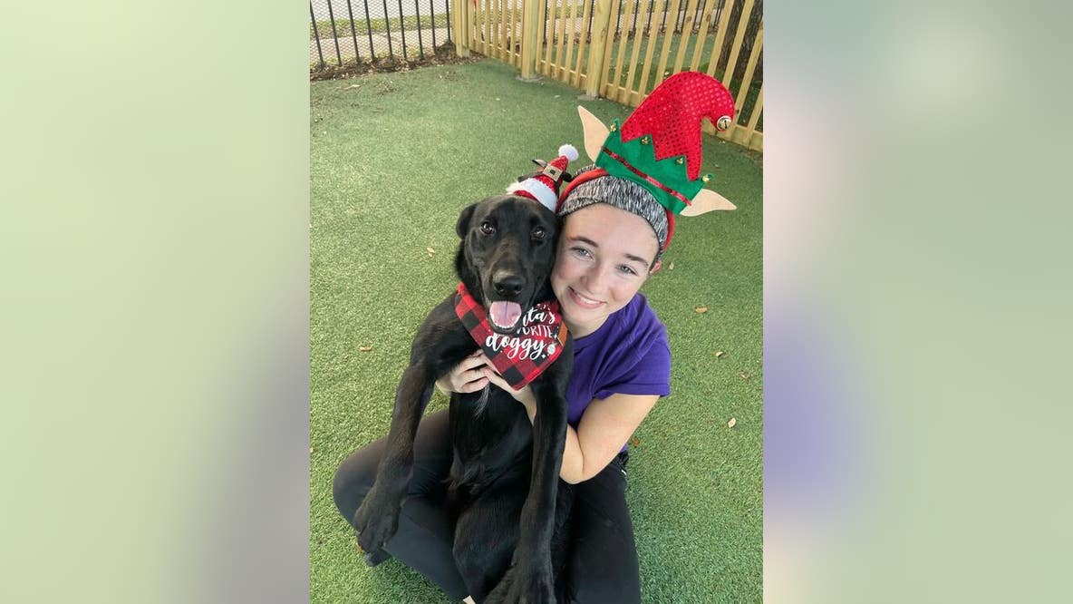 Pasadena-area woman takes action to save dogs from euthanasia