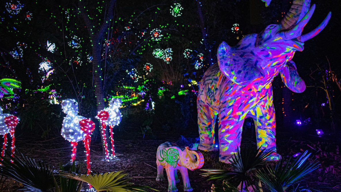 Houston Christmas lights display locations: Neighborhoods, drive-thrus, holiday festivals 2025