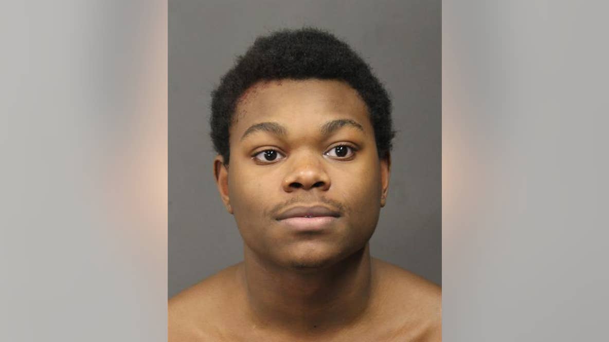 Student in custody after deadly Sterling HS fight identified