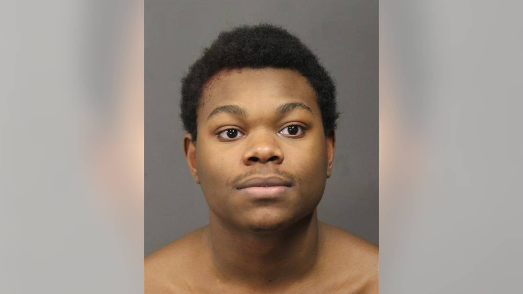 Deadly Sterling High School fight: Student in custody identified, charged