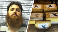 Texas man arrested in Mississippi after sheriff finds 19 kilos of cocaine during traffic stop