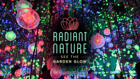 KRIV “HOUSTON BOTANIC GARDEN RADIANT NATURE" GIVEAWAY RULES — Dec 15 - 19, 2025