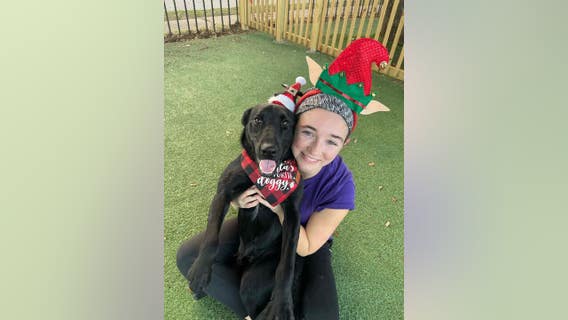 Pasadena-area woman takes action to save dogs from euthanasia