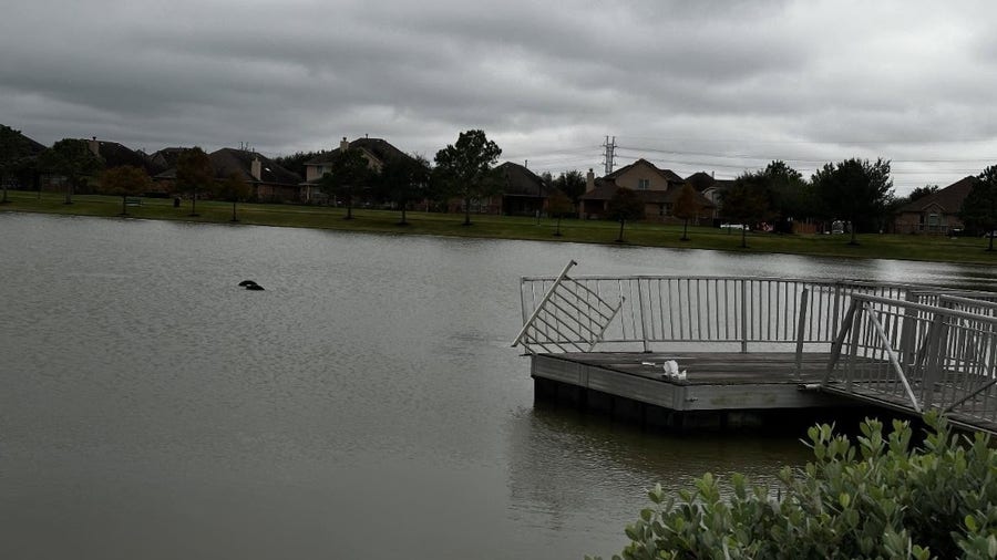 Body found in vehicle recovered from Cypress retention pond, officials confirm