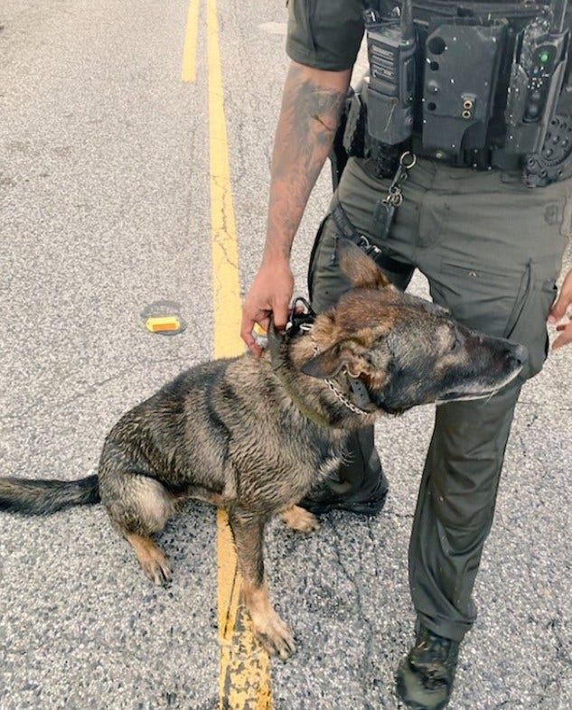 Harris County K-9 injured after suspect attempted to drown dog during pursuit